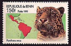 Cat Stamps - Collectible & Rare Postage