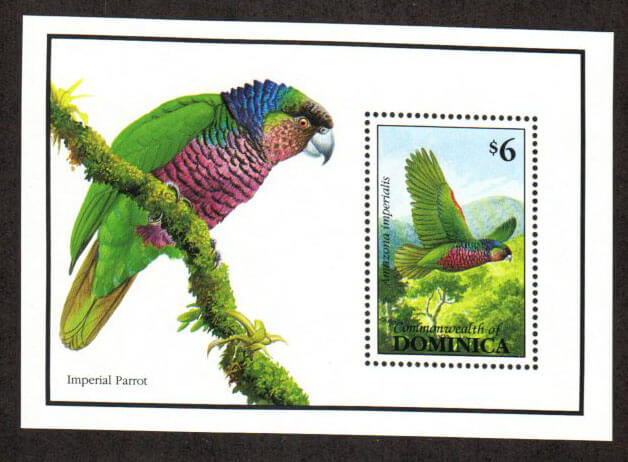 Imperial parrot - Mesa Stamps