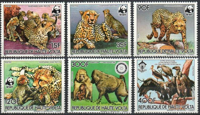 Cheetahs, baboons, vultures - Mesa Stamps