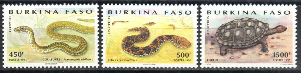 Snakes And Turtles - Mesa Stamps